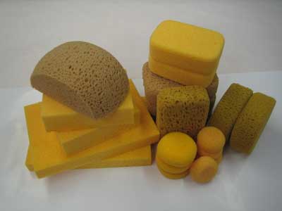 Hydro Sponge Varieties 1
